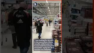 Horse Wanders Around Supermarket