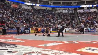 Northampton's Julian Chlebove wins 2017 PIAA Class 3A wrestling title