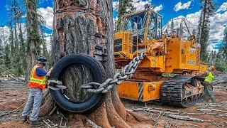 Amazing Powerful Cutting Tree Chainsaw Machines | Incredible Fastest Woodworking Machines in Action