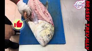 fillet BRASSY TREVALLY (Jack family)#fish cutting skills#fishcutting_skills #fishcutting #malu #黑鮪魚