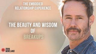 The Beauty and Wisdom of Breakups