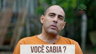 Você Sabia? Conservação das Florestas