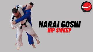 Harai Goshi || Hip Sweep 2.0