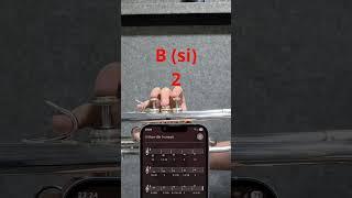 Trumpet G Major Scale #trumpet #gmajorscale #gmajor #howtoplaytrumpet