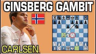 Carlsen unleashed the Ginsberg Gambit Against Robson's Aggressive Sicilian Defense.