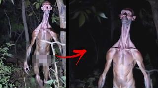 What Are These Terrifying Creatures Caught On Camera? Here are the Shocking Details!