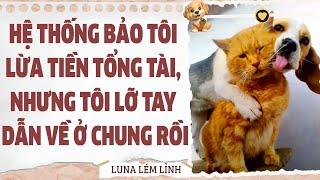 [Truyện Audio // Full ] HỆ THỐNG BẢO TÔI LỪA TIỀN TỔNG TÀI NHƯNG TÔI LỠ TAY DẪN VỀ Ở CHUNG RỒI!