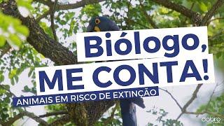 ANIMAIS EM RISCO DE EXTINÇÃO COM DIEGO SANCHES (FOTÓGRAFO VIAJANTE) - BIÓLOGO ME CONTA