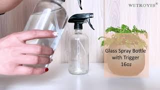 Glass Spray Bottle with Trigger 16oz - Xuzhou Troy