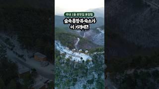 이 가격에 이런 뷰가?! 대한민국 1등 휴양림 #국내여행지추천