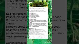 средство для активного роста огурцов.