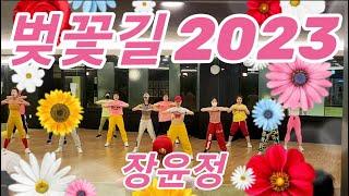 2023년 봄이 왔어요~벚꽃길(Cherry Blossoms Road) - 장윤정 웨스트몸풀이 에어로빅choreo 썸머린