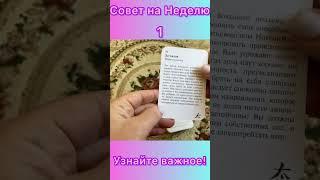 Совет на Нелелю