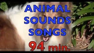 ANIMAL SOUNDS SONGS Compilations 94 min. Learn Animal Names & Their Sounds /EDUCATIONAL KID VIDEO