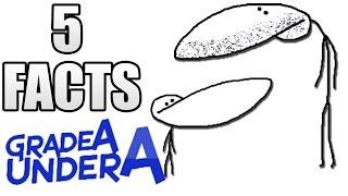 5 CRAZY FACTS - GradeAUnderA