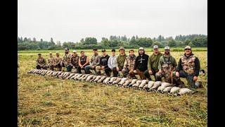 WA STATE EARLY GOOSE (15 MAN 75 BIRDS)