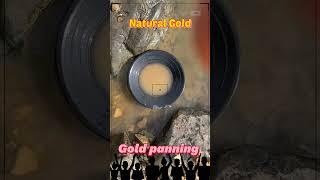 자연금 사금 패닝#shorts#사금#natural gold#gold panning