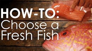 How-to Choose Fresh Fish