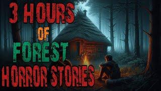 Scary Deep Wilderness Horror Stories PARK RANGER,cabin stories, Horror Stories To Fall Asleep To