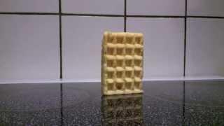 Waffle falling over