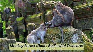 Monkey Forest Ubud Bali: A Wild Adventure You Can’t Miss!