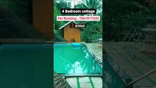 Whatsapp number : 7561017242 | Munnar cottage rooms at cheap rate #munnar #munnarresort  #rooms