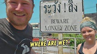 Getting LOST in Thailand Looking for Monkeys of Lopburi