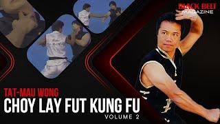 Tat-Mau Wong: Choy Lay Fut Kung Fu (Vol 2) - Plum Blossom Fighting Set | Black Belt Magazine