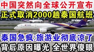 中国突然向全球公开宣布，正式取消2000趟泰国航班，泰国急疯:旅游业彻底凉了，背后原因曝光全世界傻眼！