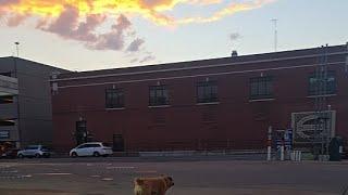 Topeka Kansas Sunset Walk with Dog