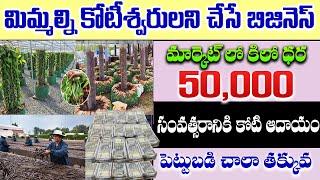 మిమ్మల్ని కోటీశ్వరులని చేసే బిజినెస్ | Best Business Idea In Telugu | Vanilla Farming Business