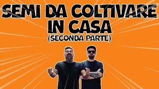 SEMI PER COLTIVARE IN CASA [SECONDA PARTE]