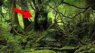 Most MYSTERIOUS South American Legends!