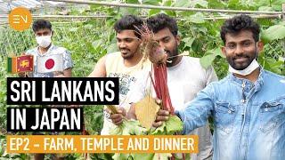 Growing Sri Lankan Vegetables in Ibaraki?! | Sri Lankans in Japan