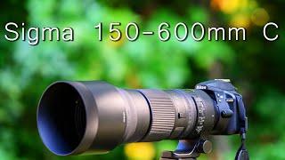 Sigma 150-600mm C Review after 1 year