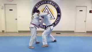 Gracie Ohio Fundamentals Trailer