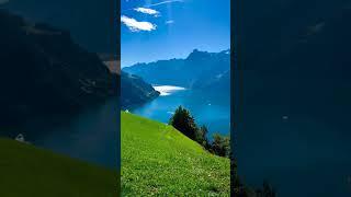 nice place to live