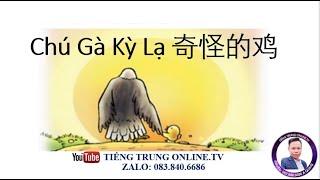 Chú Gà Kỳ Lạ 奇怪的鸡 - TIẾNG TRUNG ONLINE.TV