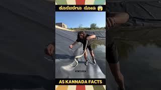 Snake Rescue Fact Video | #kannada #facts #karnataka #amazing #youtubeshorts #trendingshorts
