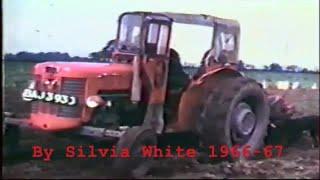 Massey Ferguson 65 Lifting Potatoe's in 1967