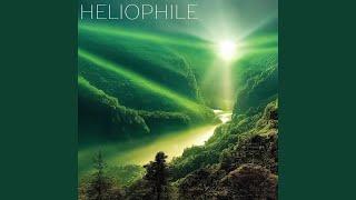 Heliophile