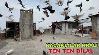 TEN TEN GÜNDE 13 KAÇAK YAKALIYORUM DEDİ VİDEODA KAÇAK GELDİ