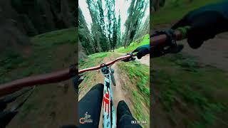 Chiranbal Kulgam Trail Kashmir || Kashmir Downhill || 10 kms Approx Trail #Kashmirdownhill #kashmir