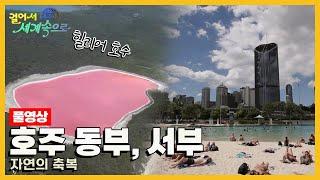 [걸어서세계속으로Full] 청정 자연의 신비를 고스란히 품은 곳 '호주 동부 서부' Trip to Australia (KBS 방송)