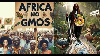 Seeding Africa Launches a New Religion On an Organic Farming Bible