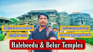 Halebeedu & Belur Temples-உலகின் தலைசிறந்த சிற்பங்களை காணசென்ற எங்களின்Weekend Trip#belur #halebeedu