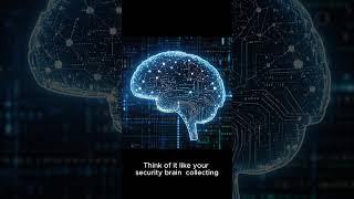 "What Is a SIEM? (Cyber Security Tool)"