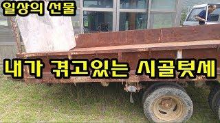 내가 겪고있는 시골 텃세 귀농 귀촌 [일상의 선물]