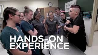 Broadview University - Vet Tech Program