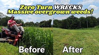 4 FOOT high weeds vs TORO TITAN 60" Farm Grade Zero Turn!